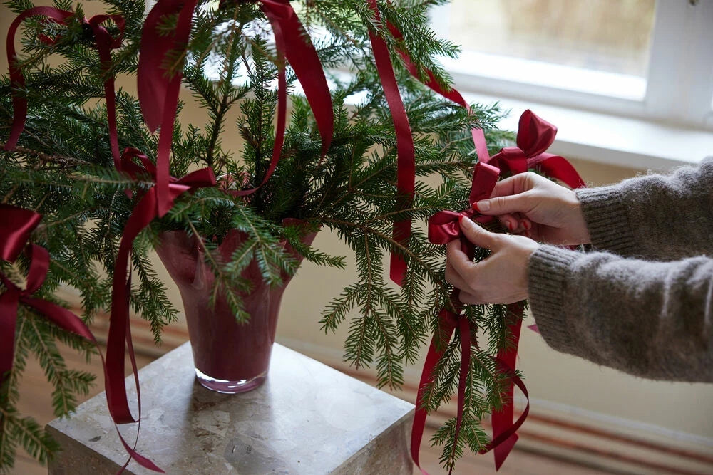 Viva vas stor Vinröd