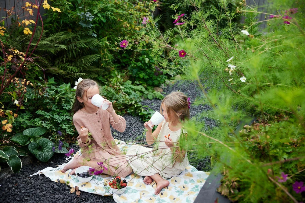 Picknick Juni skål, 4-pack