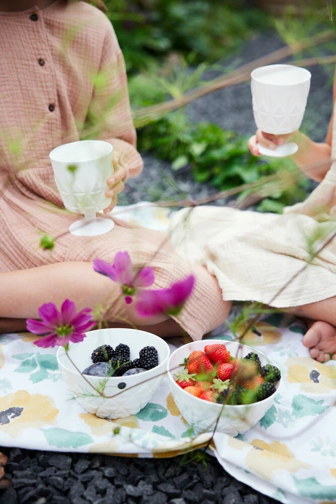 Picknick Juni skål, 4-pack