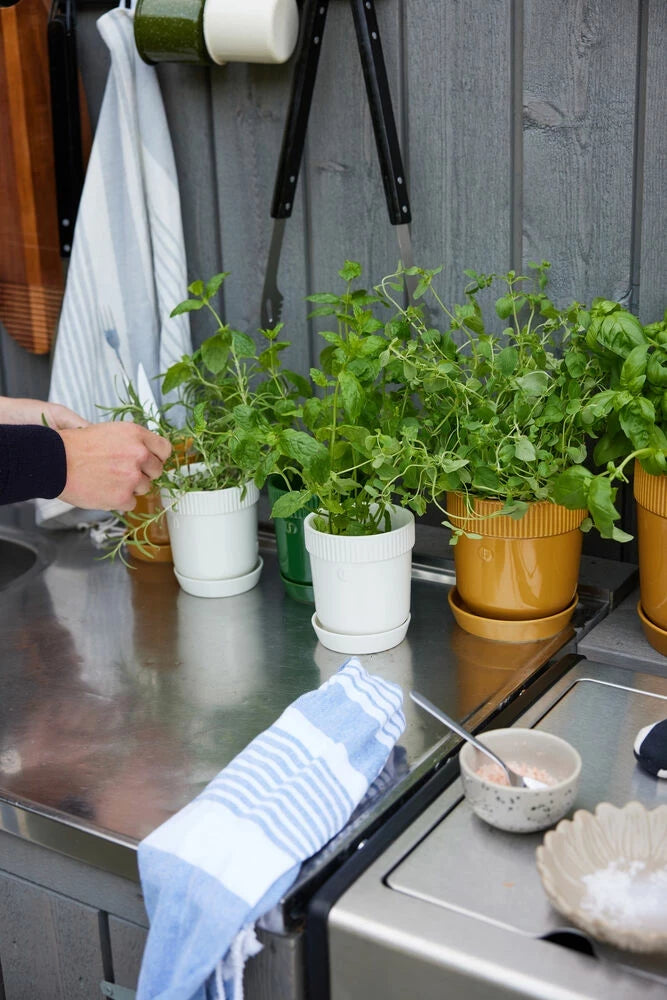 Ditte liten skål, 2-pack