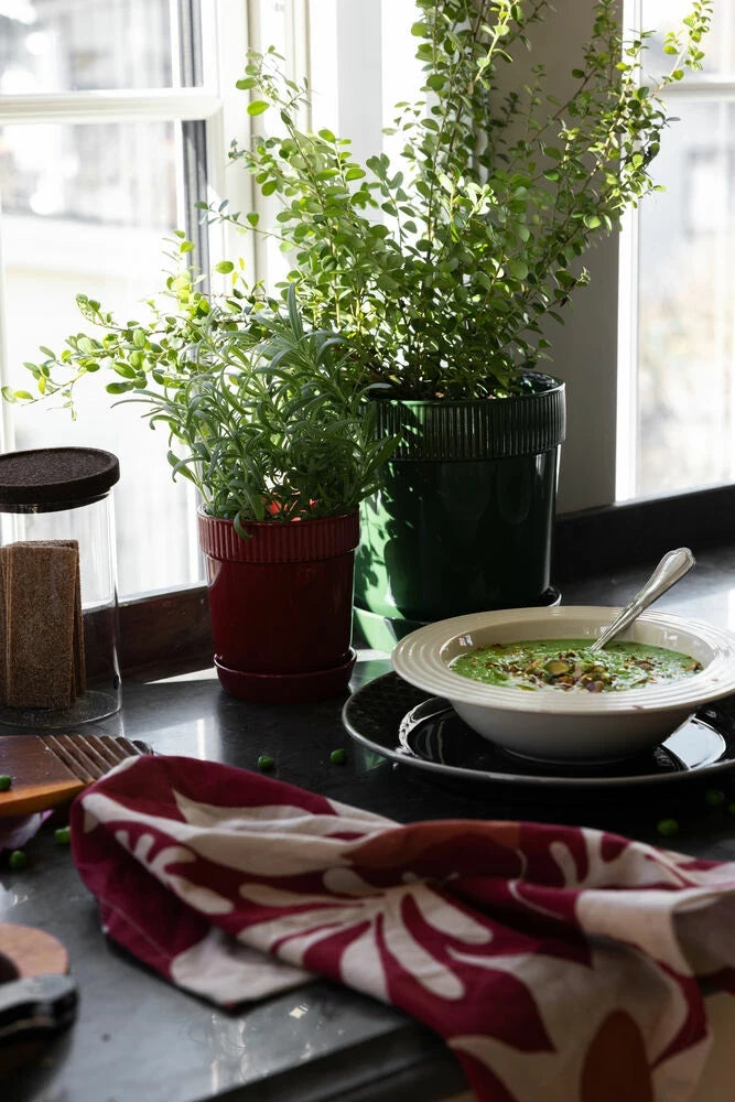 Coffee & More djup tallrik