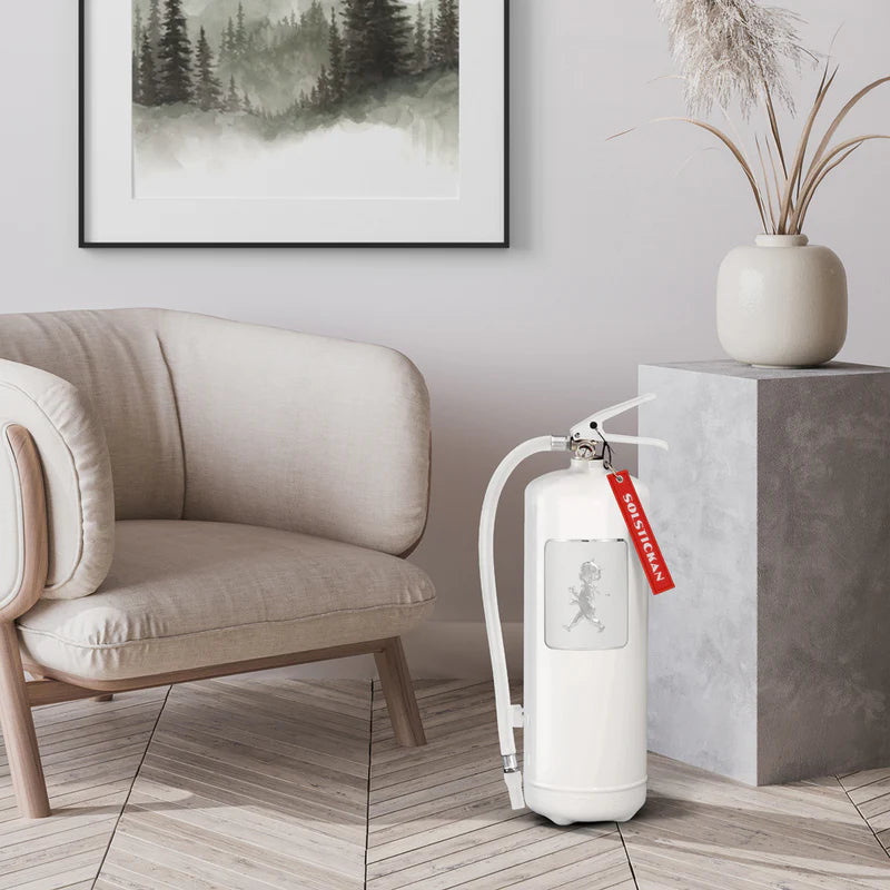 Brandsläckare 6 kg - Vit / Vit